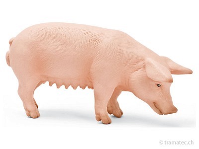 Schleich Schwein, stehend