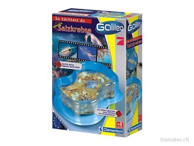 Clementoni Salzkrebse Bausatz