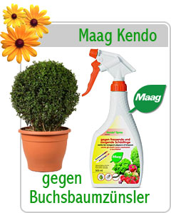 Maag Kendo Gold, Schädlingsbekämpfung, Buchsbaumzünsler, Tierabwehr