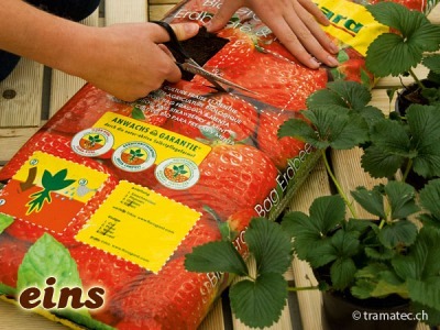 Floragard Bio Grow Bag Salat & Kräuter