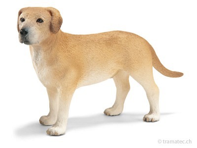 Schleich Labrador Rüde