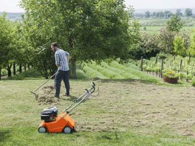 STIHL Benzin-Rasenlüfter RL 540