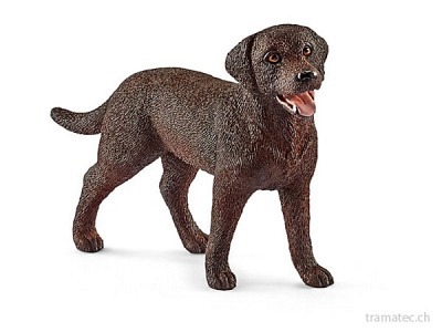 Schleich Labrador Hündin - 13834